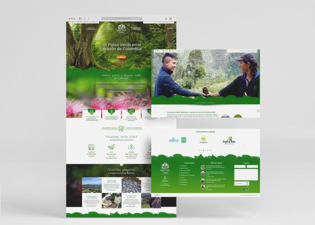 Page Internet du site Impulso Verde