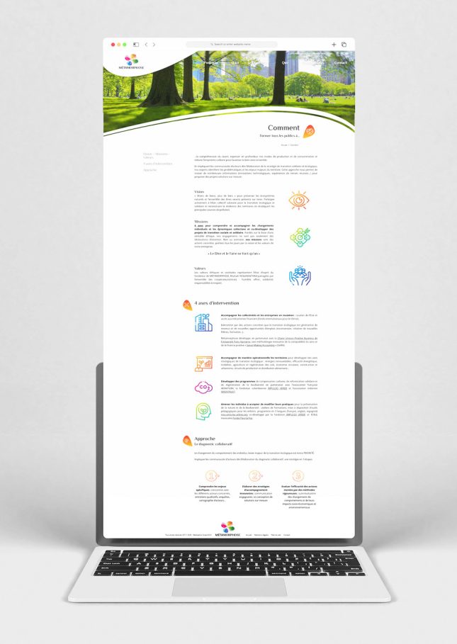Page "Comment" du site Métamorphose