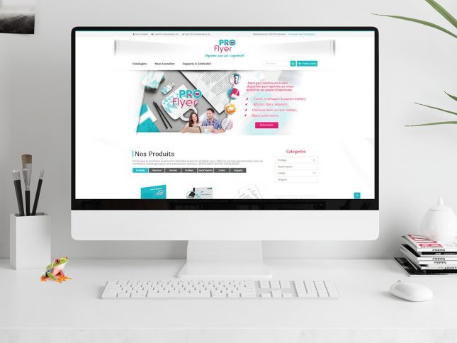 Proflyer : Site e-commerce 01