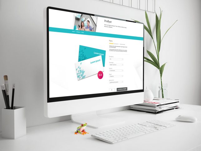 Proflyer : Site e-commerce 03