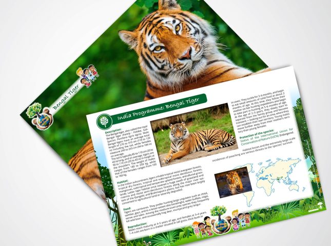 India : Fiches animaux