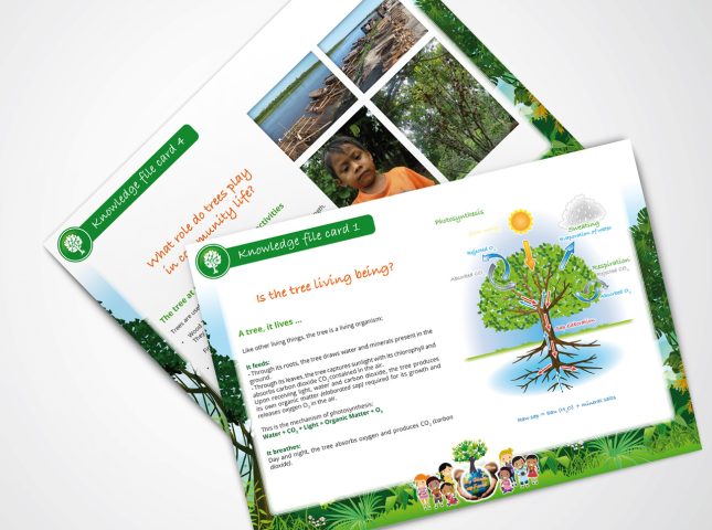 India : Fiches explicatives