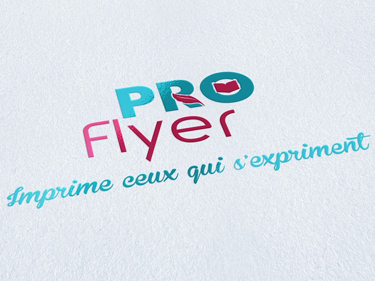 Une – Proflyer Création du logo Pro Flyer pour l'imprimeur du même nom.