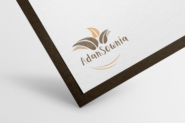 Carte de visite Adansownia, logo feuille orange, marron et beige sur papier texturé