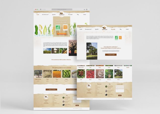 Adansownia : pages du site vitrine ; page d'accueil, de présentation et pieds de page