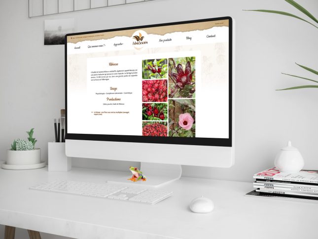 Adansownia : page fiche produit du site avec recommandation et utilisation par produit
