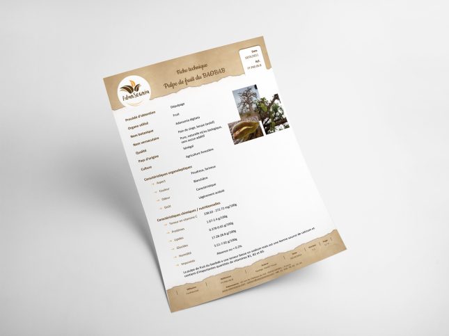 Adansownia : fiche produit sous Word