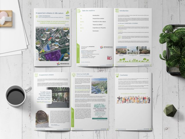 Carnet d'idées sur l'acupuncture urbaine - Meylan