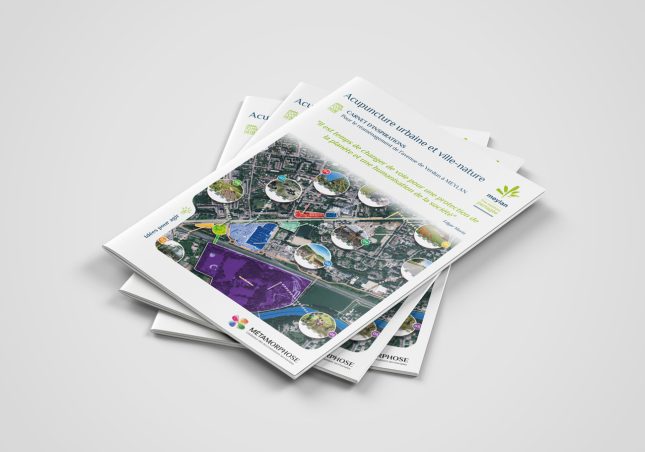Carnet d'idées sur l'acupuncture urbaine - Meylan
