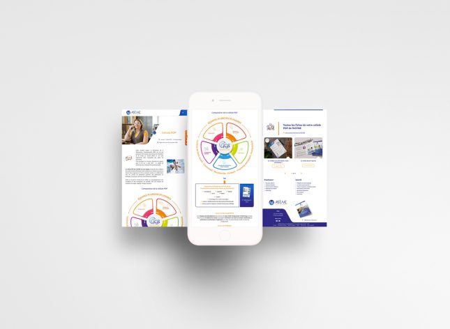 Module de la cellule PDP de l'ASTME responsive