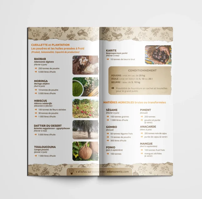 Brochure Adamsownia - version française et anglaise présentant la gamme de produits proposé à la vente