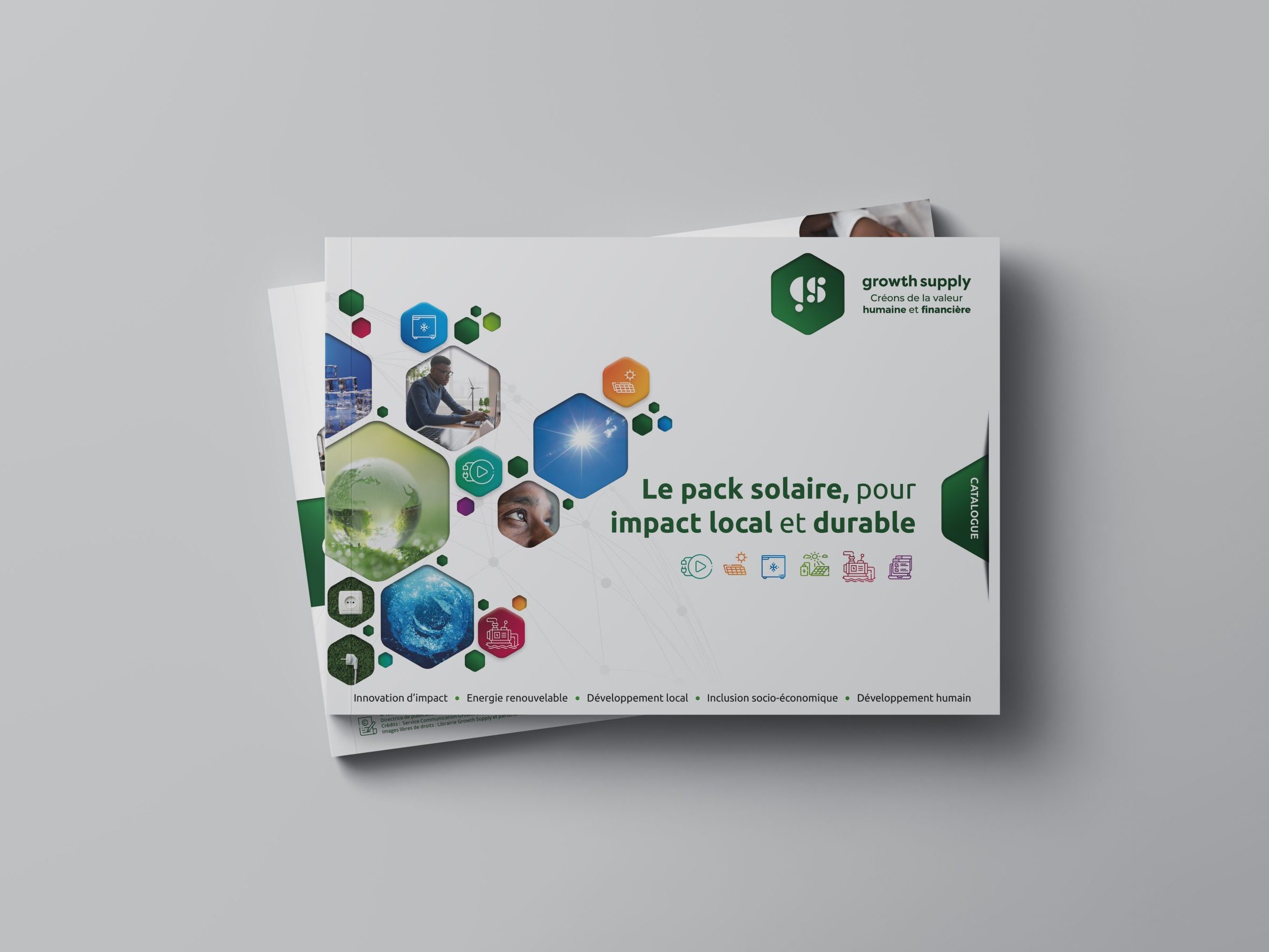 Catalogue Growth Supply, couverture à icônes hexagonales colorées