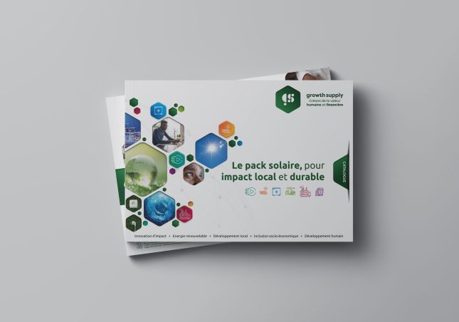 Catalogue Growth Supply, couverture à icônes hexagonales colorées