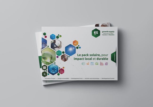 Catalogue Growth Supply, couverture à icônes hexagonales colorées