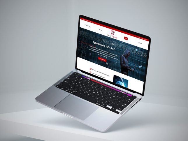 Group Systemic - Site visualisé sur un laptop
