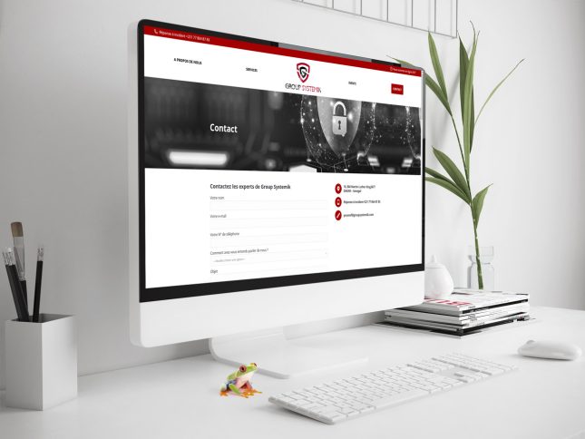 Group Systemic - page de contact