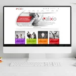 Home page du site Alixio en 2014