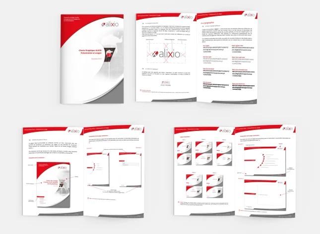 Charte graphique ALIXIO - 2013